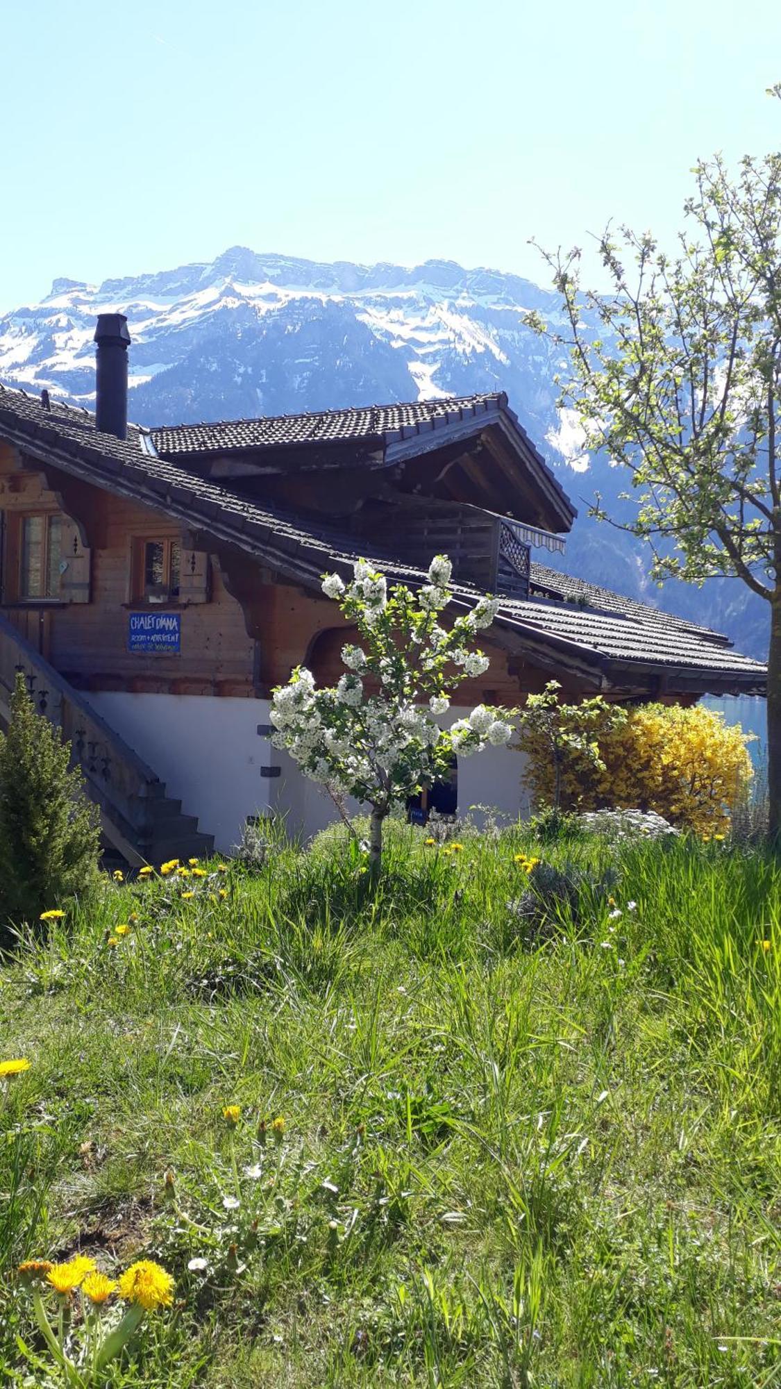 Chalet Diana Lakefront Ringgenberg Exteriör bild